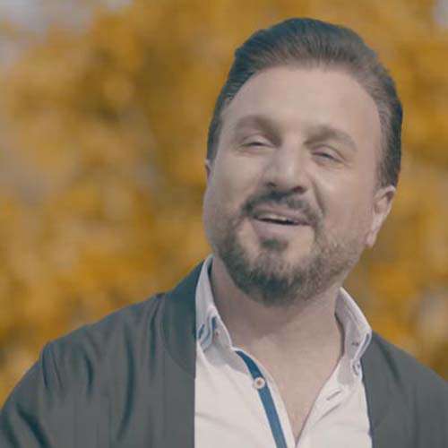پیوند جاف بیوه